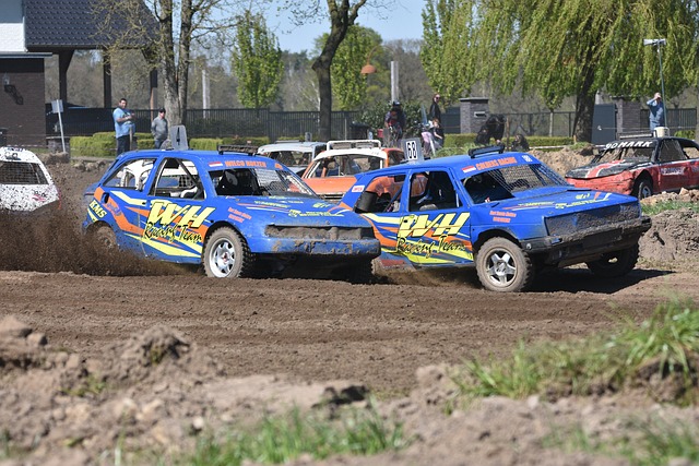 适应能力和 适应能力和