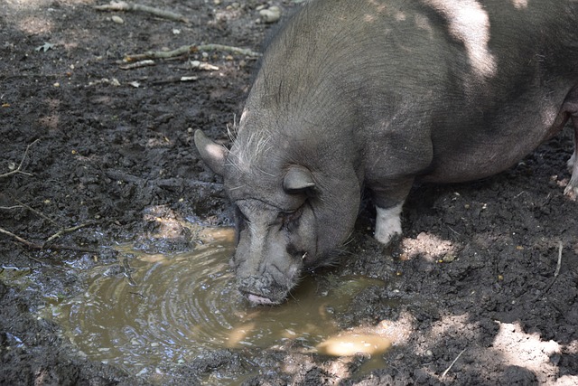 无疑是值得 无疑是值得