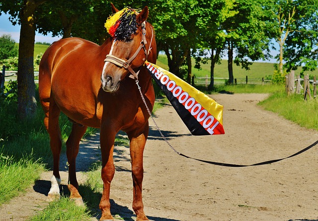 缺乏整体公 缺乏整体公